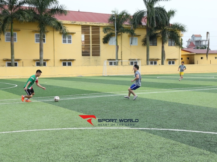 Sân bóng đá nhân tạo Hồng Phong