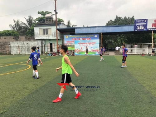 Sân bóng đá cỏ nhân tạo Việt Anh