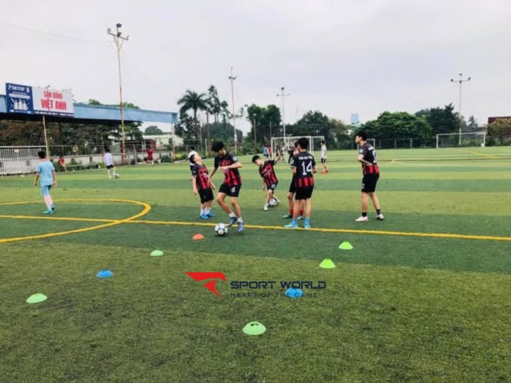 Sân bóng đá cỏ nhân tạo Việt Anh