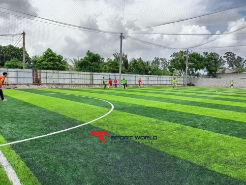 Sân Bóng Đức Dương