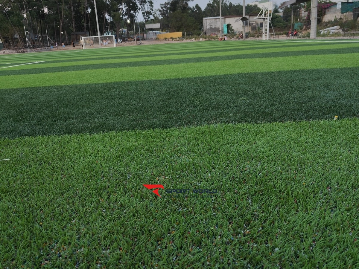 Sân bóng đá 197 ARENA