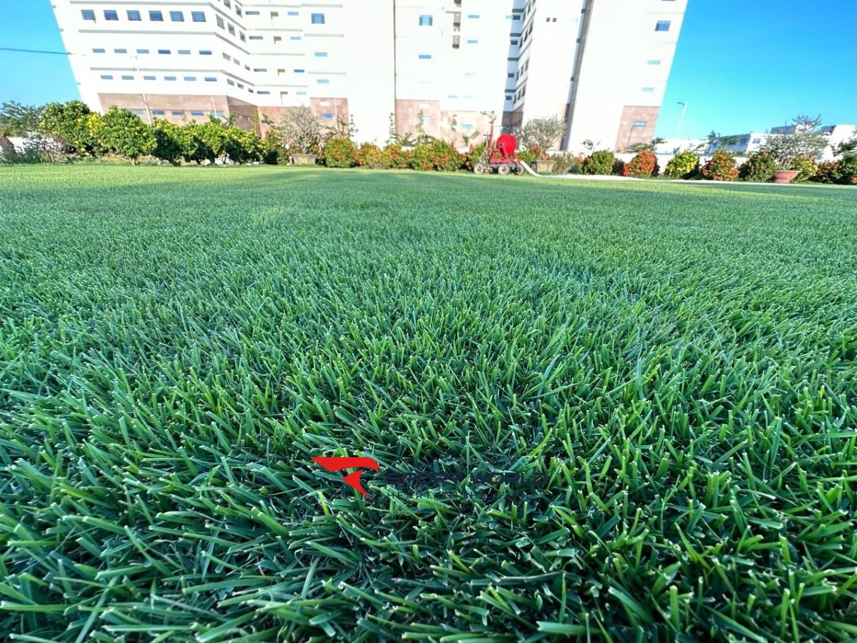 Sân Bóng Vạn Xuân - CLB Hoàng Sport