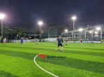 Sân bóng đá Fox Fields