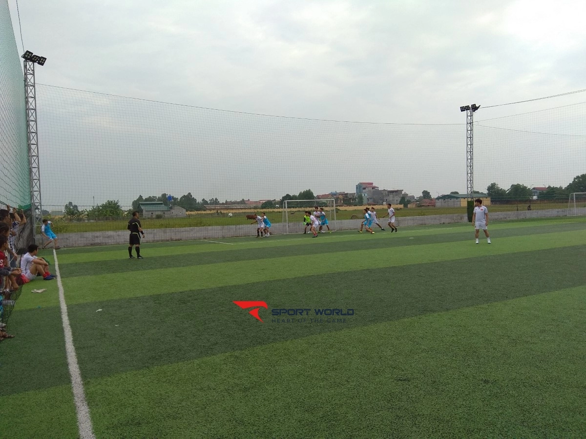 Sân bóng nhân tạo Tiên Lữ (Totti Stadium)