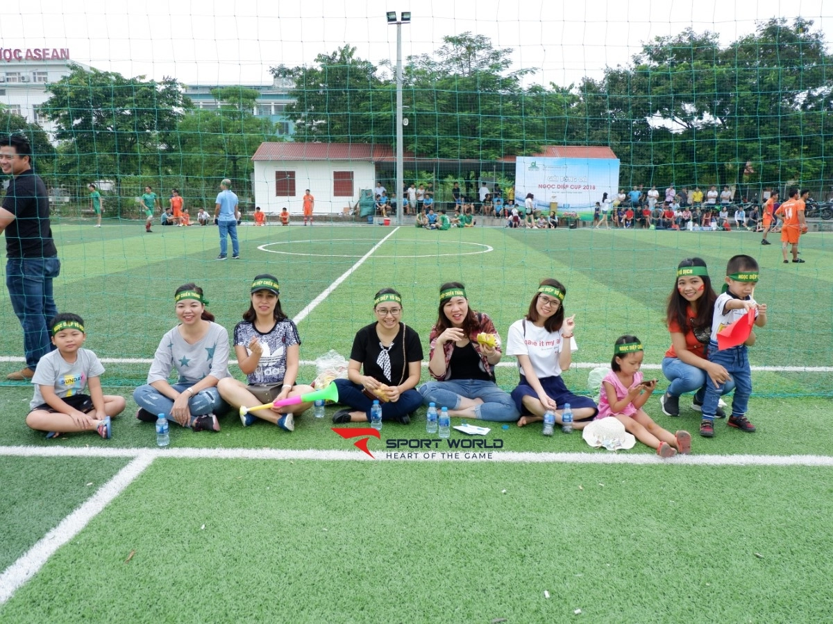 Sân bóng đá cỏ nhân tạo Asean Arena