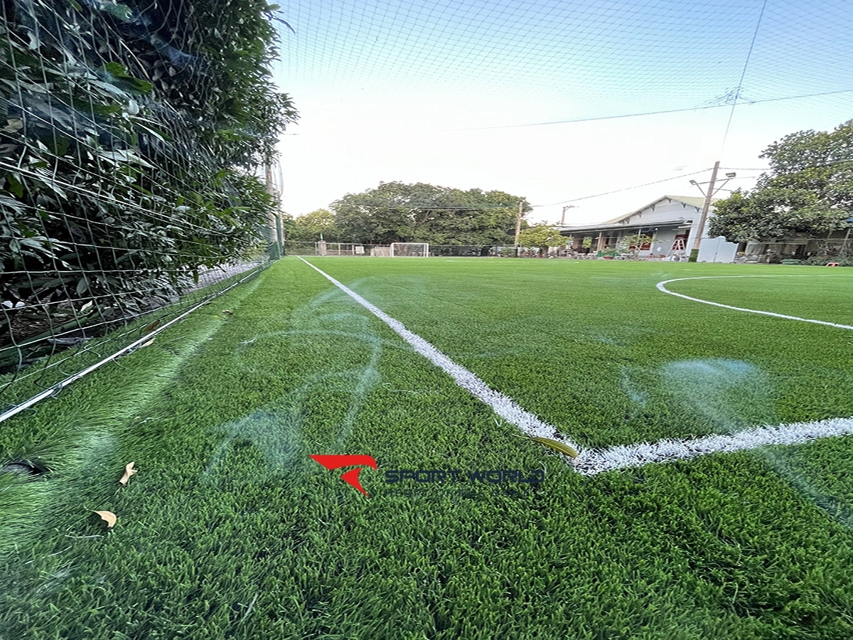 Sân cỏ nhân tạo cam Hải Tây