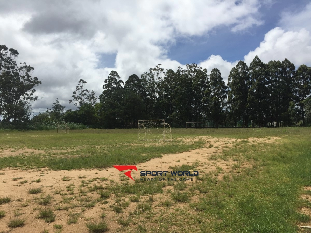 Sân vận động trường Bùi Thị Xuân