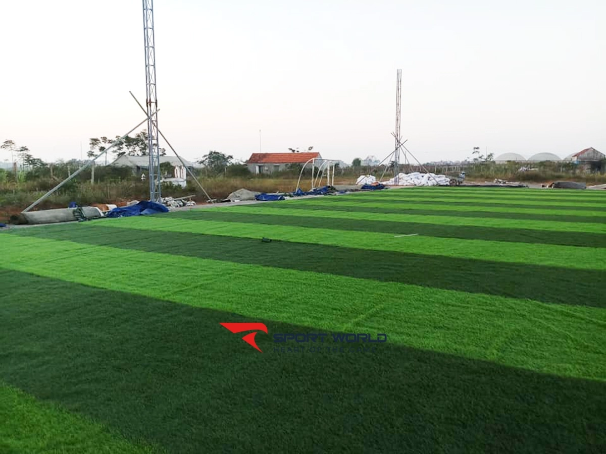 Sân cỏ nhân tạo Quỳnh Bảng