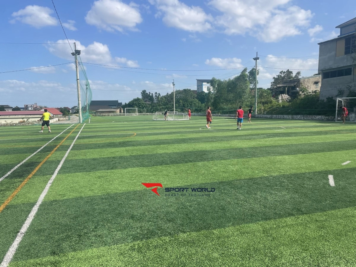 Sân bóng đá Mini nhân tạo Thanh Đạt