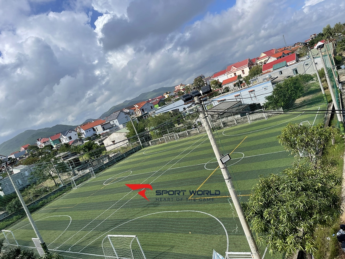 Sân bóng cỏ nhân tạo Tony Sport