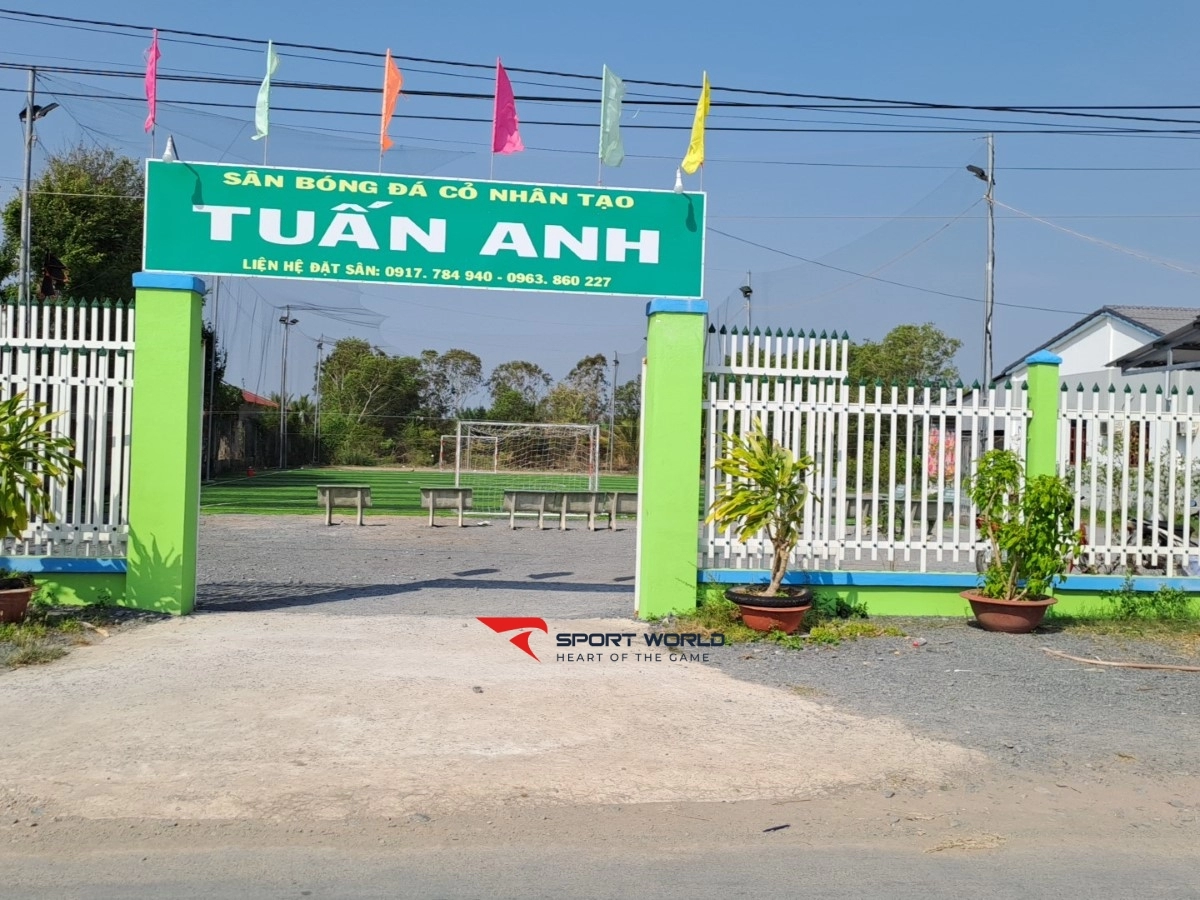 Sân bóng đá cỏ nhân tạo TUẤN ANH