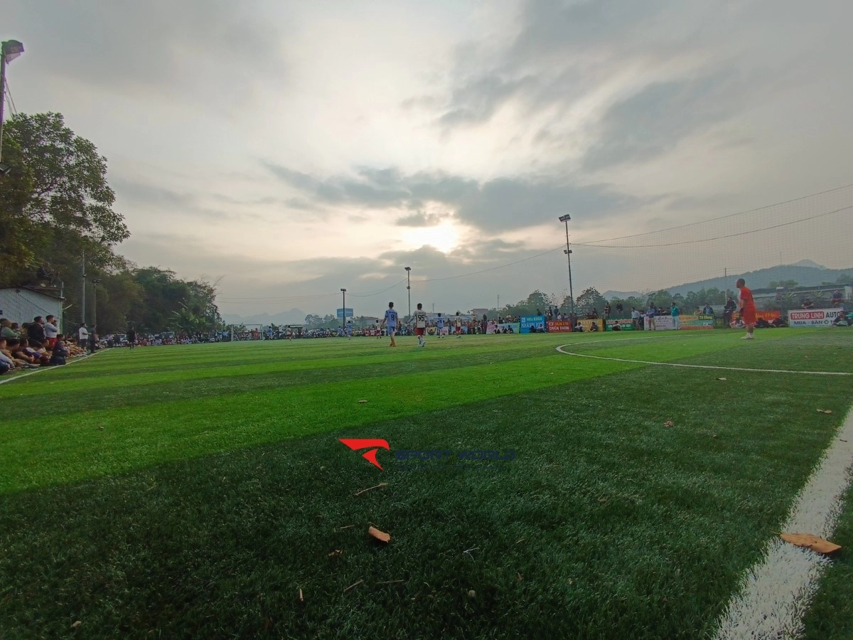 Sân bóng cỏ nhân tạo Sơn Dương