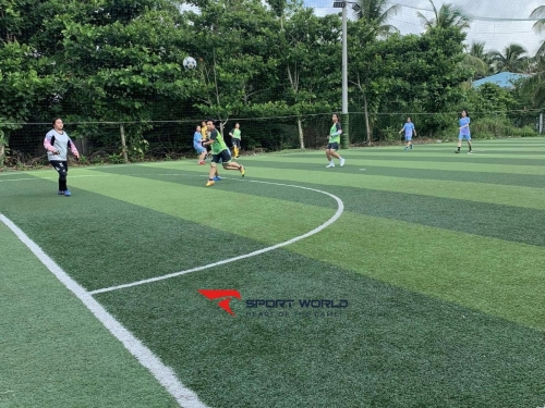 Sân bóng đá mini 343