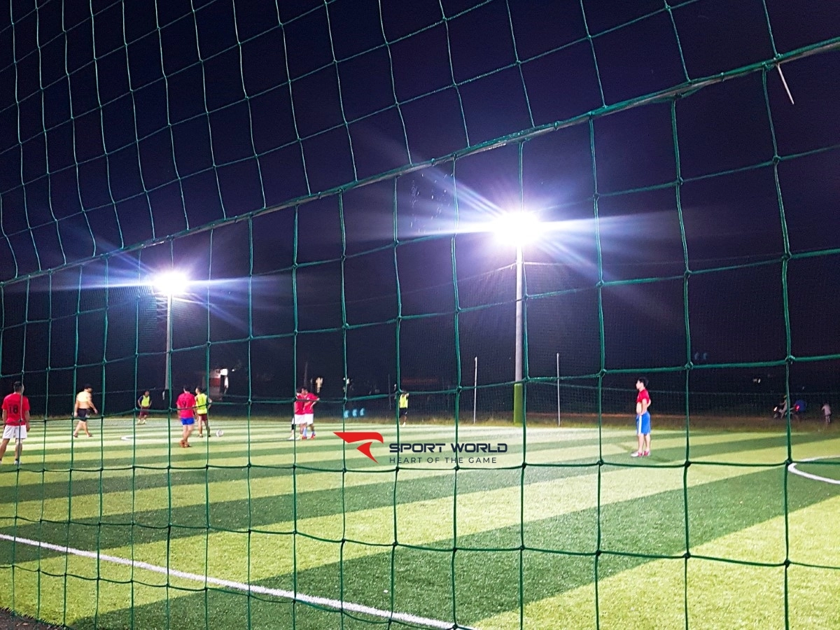 Sân cỏ nhân tạo Tân Phong