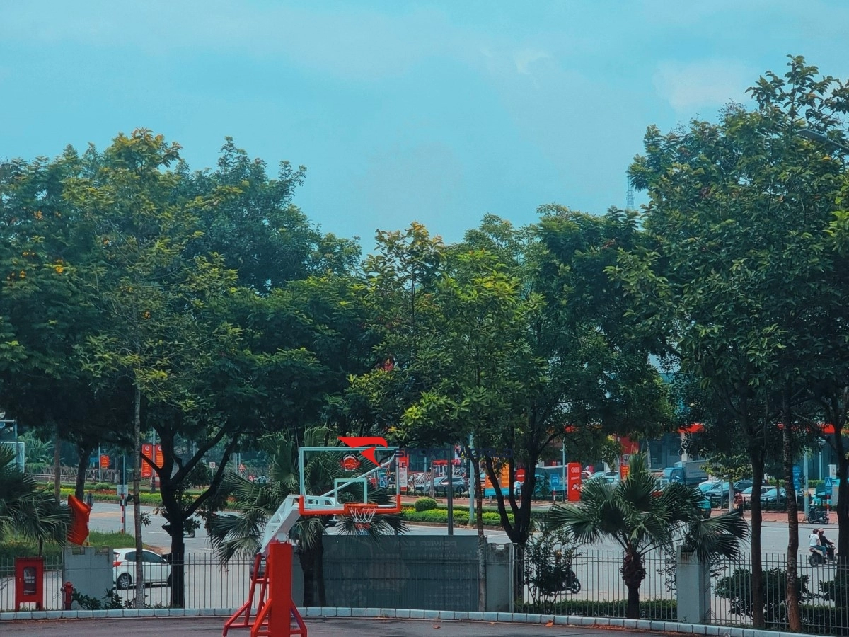 SÂN BÓNG RỔ G.O.L