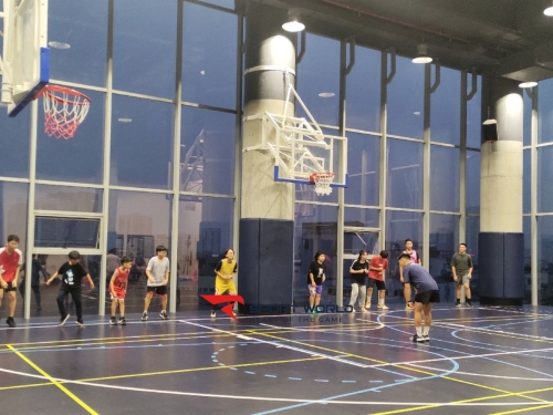 LEVEL PICKLEBALL & BADMINTON