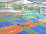 Sân Pickleball Khang Linh Vũng Tàu
