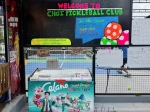 CHƠI Pickleball Club FPT