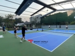 PICKLEBALL sân COFFEE BIN