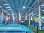 Pickleball VCN - Đông Ngạc