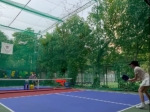 The Central Quarter Pickleball