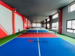 Sân tập luyện trong nhà PICKLEBALL 488