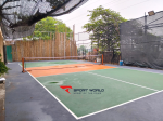 GREEN PICKLEBALL