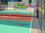 Sân Pickleball NDC