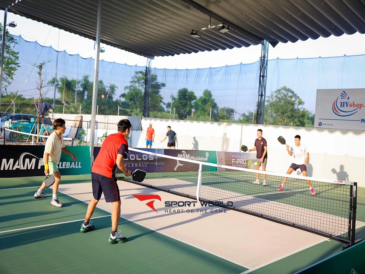 Sân Pickleball Mầm