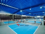Sân Tsunami Pickleball