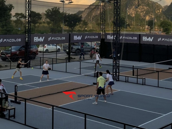 BMV Pickleball