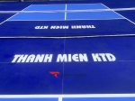 Thanh Miện Pickleball