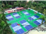 Pickleball Liên Đoàn