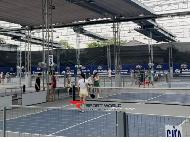Sân Pickleball Lion