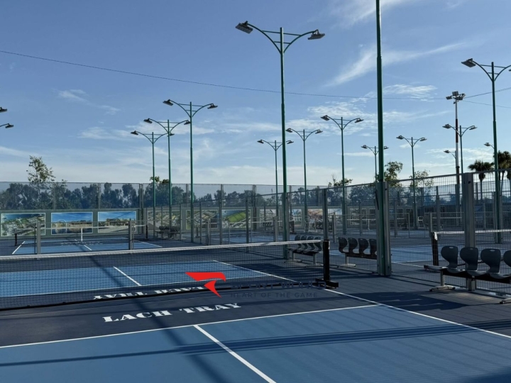 Pickleball Lạch Tray