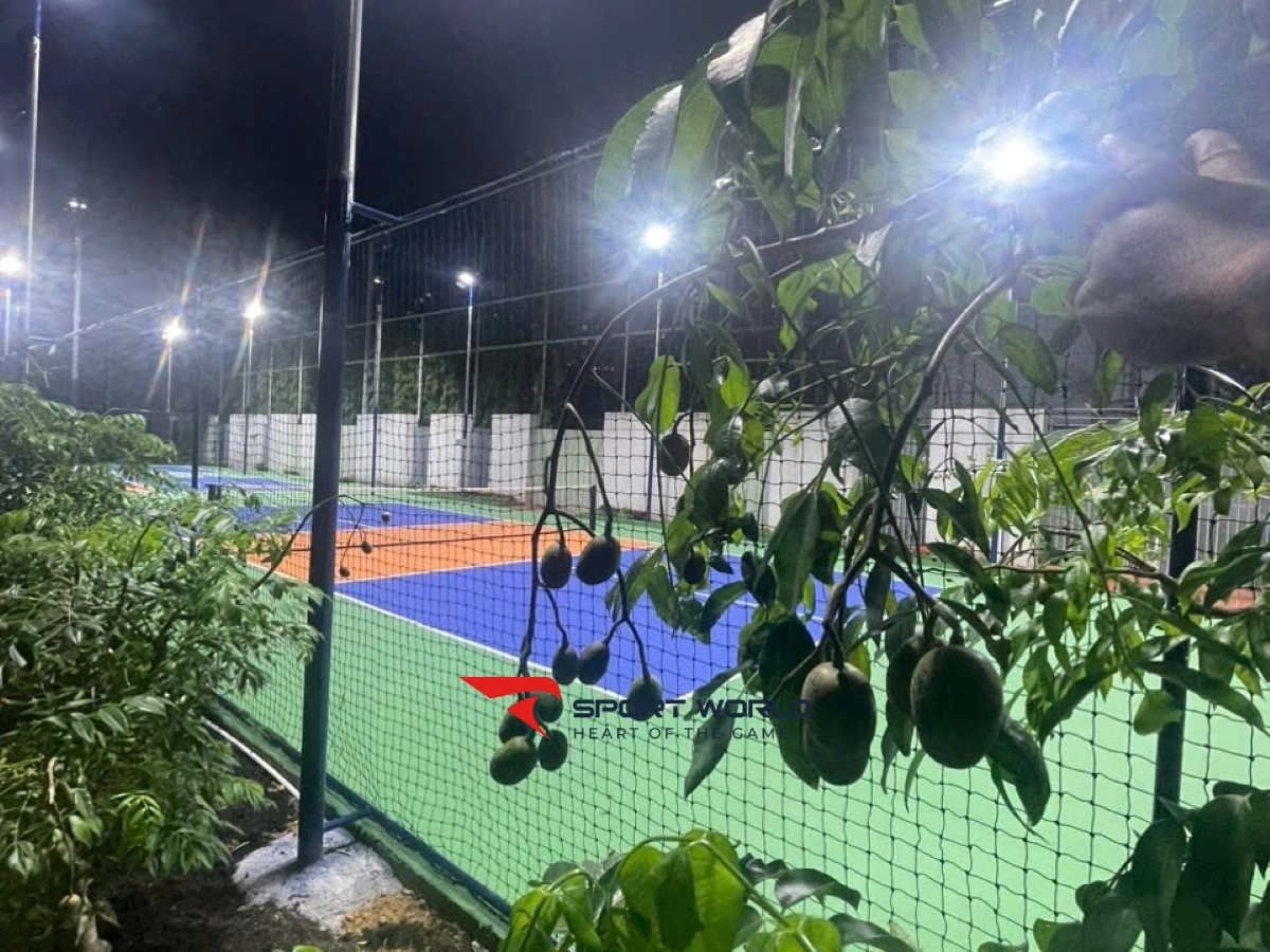 Sân Pickleball Tân An Huy