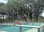 Sân Vietstar Pickleball Club