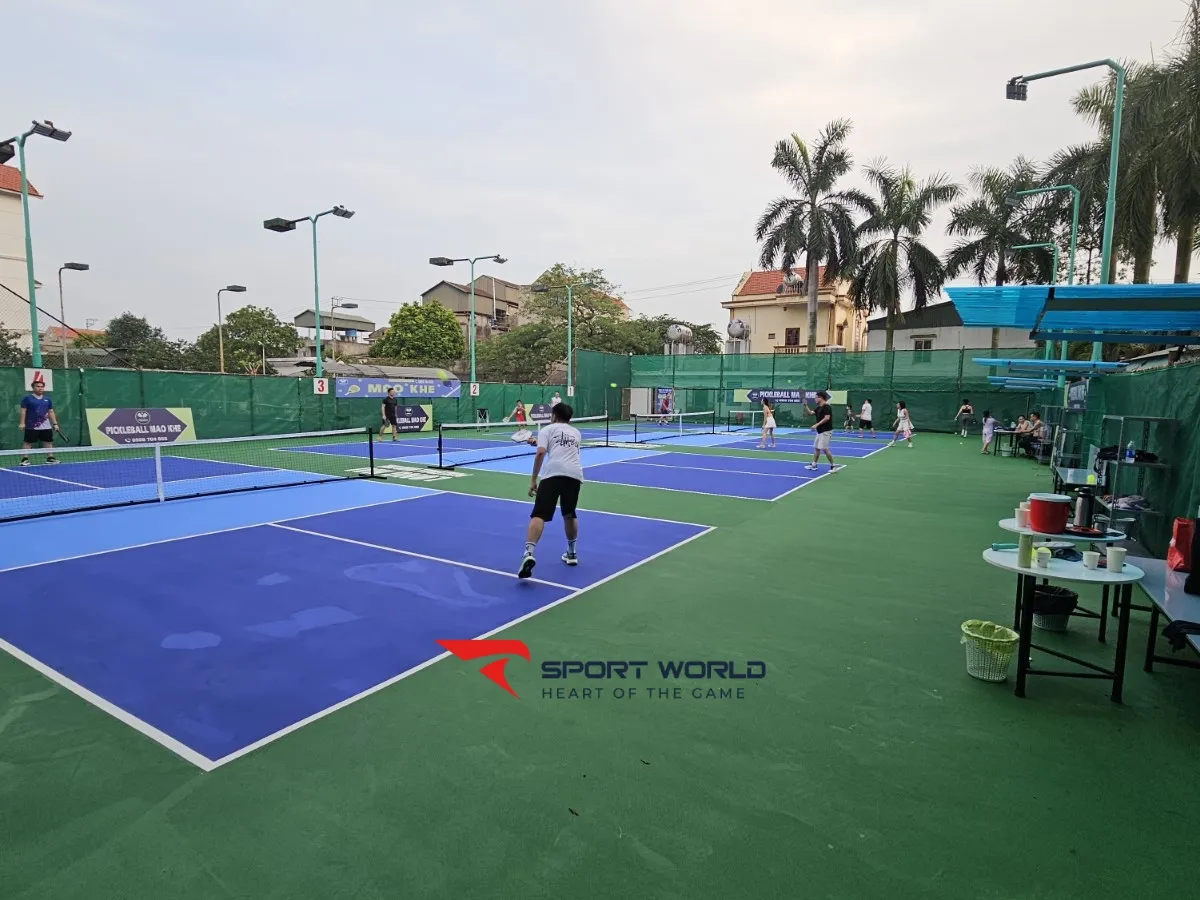 Sân Pickleball Long Hải Mạo Khê