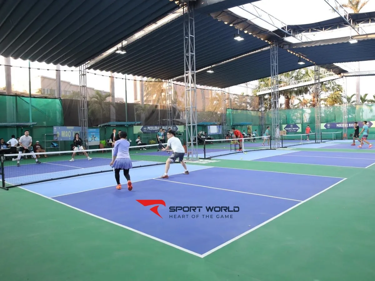 Sân Pickleball Long Hải Mạo Khê