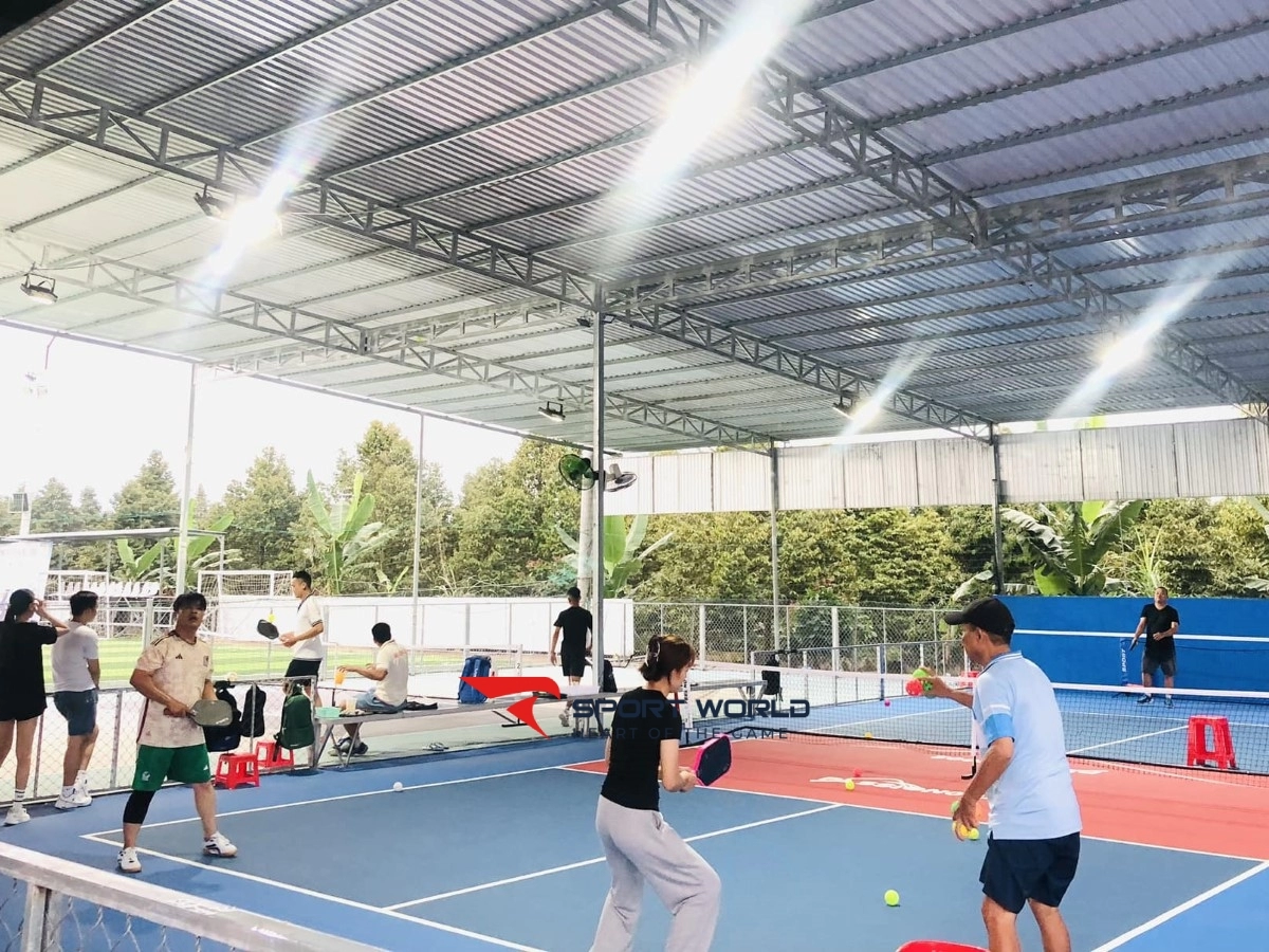 Sân PickleBall Tân Tiến