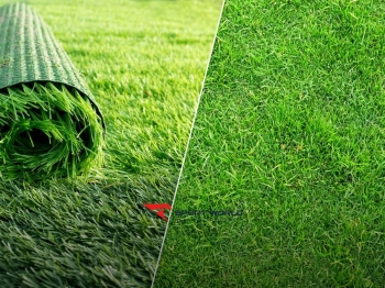 So sánh sân cỏ nhân tạo và sân cỏ tự nhiên: cấu tạo, chi phí thi công